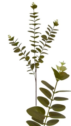 HASTE DE EUCALIPTO X 3