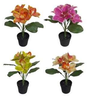 CONJUNTO 24 VASOS DE ORQUÍDEA SORTIDOS