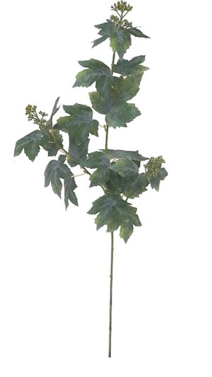 HASTE FOLHA DE VIDEIRA