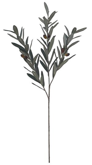 HASTE FOLHA DE OLIVEIRA X 3