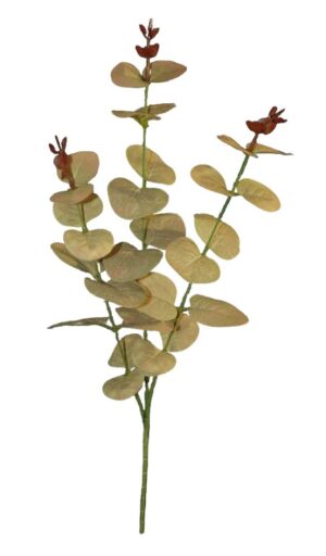 HASTE DE EUCALIPTO X 3