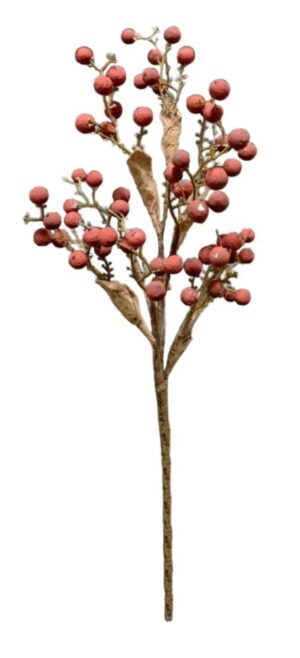 HASTE DE FRUTOS SILVESTRES