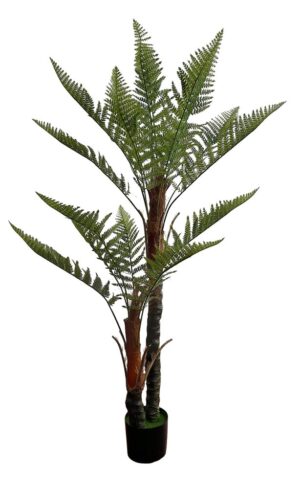 PLANTA DE FETO X 2 C/ 150 CM