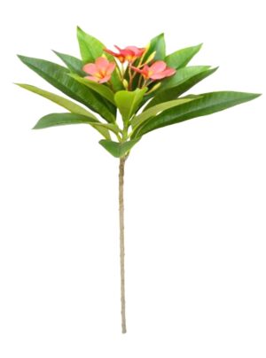 HASTE DE JASMIM-MANGA