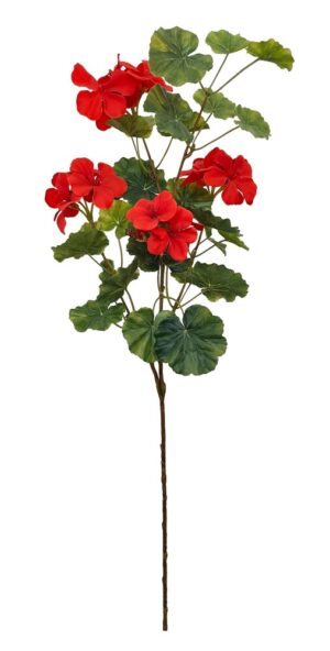 HASTE DE SARDINHEIRA