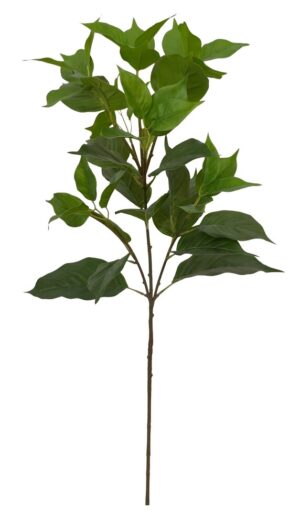 HASTE FOLHA DE PHOTOS