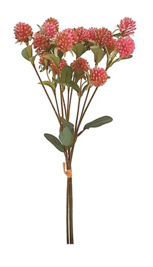 ATADO DE TRIFOLIUM X 3