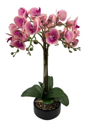 VASO DE ORQUIDEA X 3