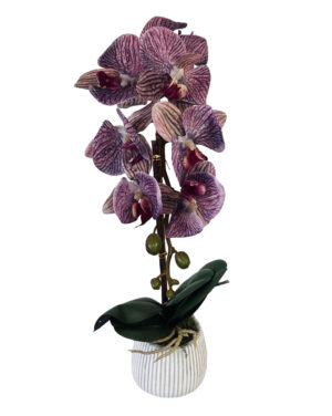 VASO DE ORQUIDEA X 1