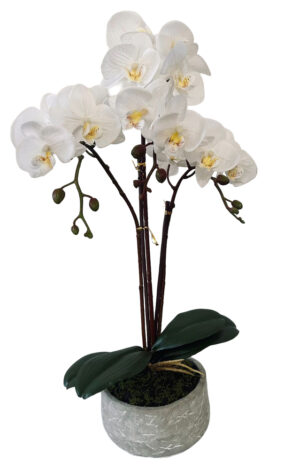 VASO DE ORQUIDEA X 3