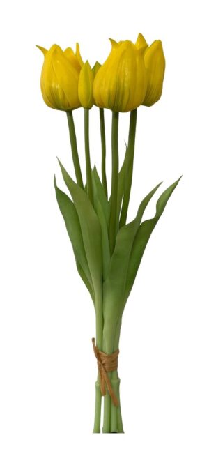 ATADO DE TULIPAS X 5