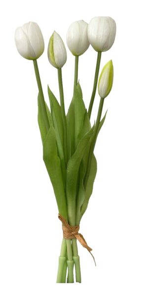 ATADO DE TULIPAS X 5