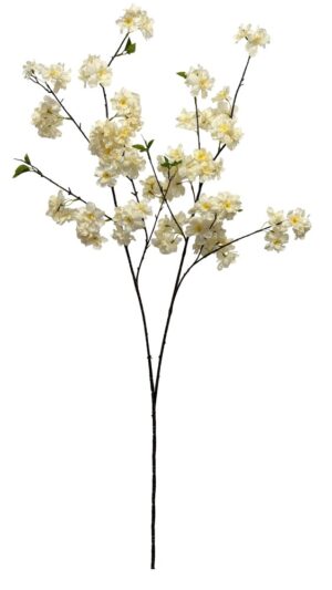 HASTE DE CEREJEIRA X 2