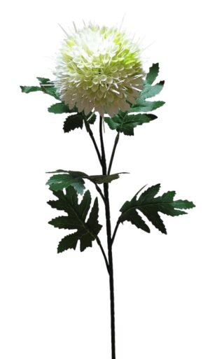 HASTE CRISANTEMO "MORIFOLIUM"