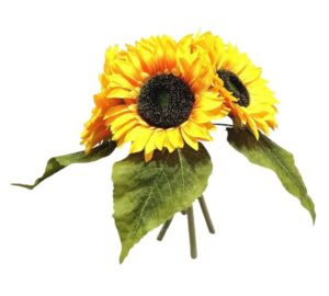 ATADO DE GIRASSÓIS X 4