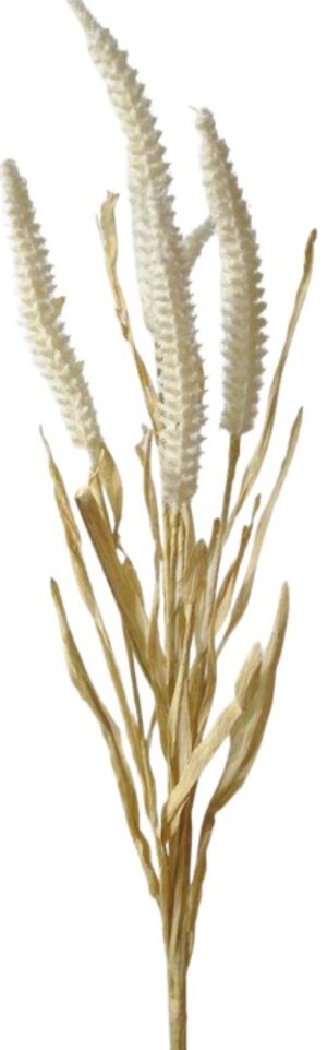 ATADO DE AMARANTOS X 5