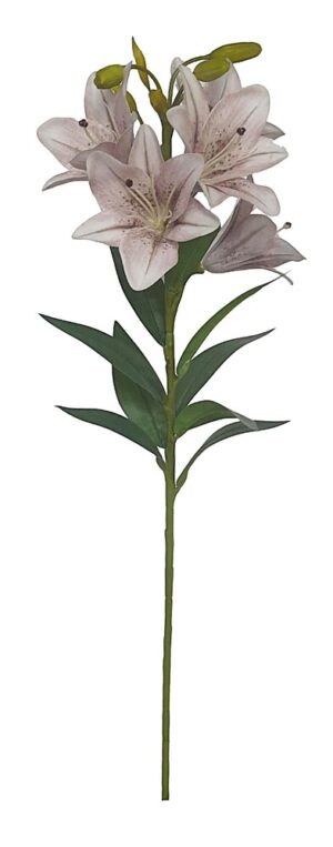 HASTE COROA IMPERIAL X 5