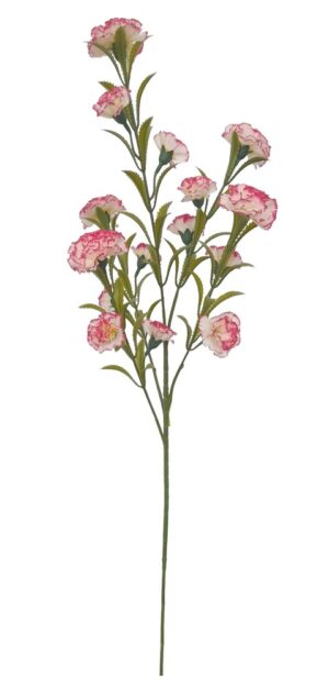 HASTE DE CRAVINA X 4