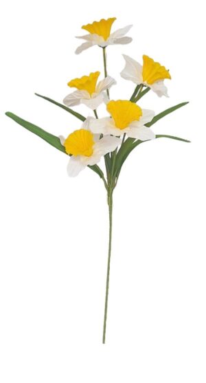 HASTE DE NARCISOS X 5
