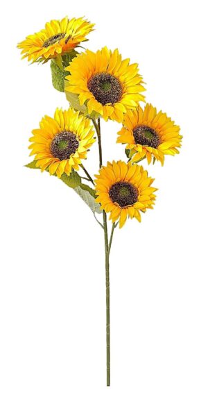 HASTE DE GIRASSOL X 5