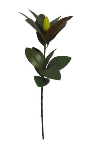 HASTE C/ FOLHA DE MAGNÓLIA X 2