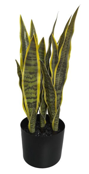 VASO ESPADA DE SÃO JORGE