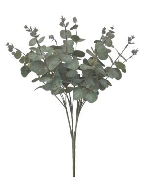 RAMO DE EUCALIPTO X 4