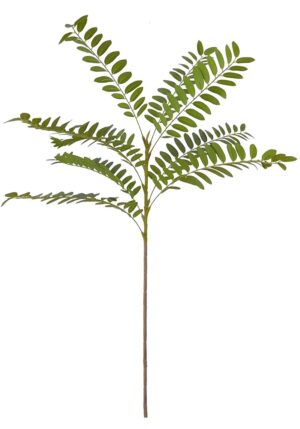 HASTE C/ FOLHAS "ROBINIA"