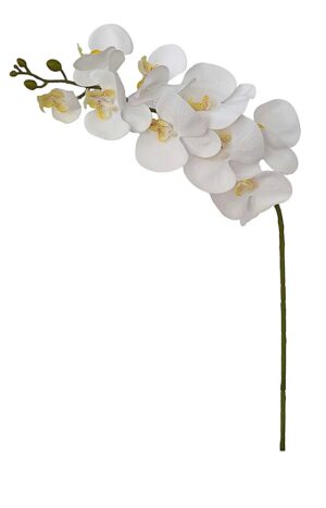 HASTE DE ORQUÍDEA X 9