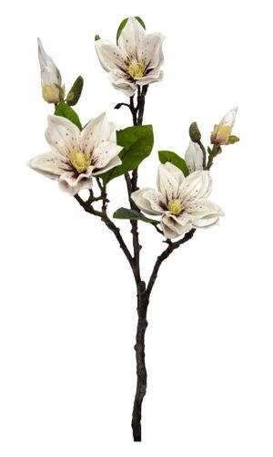 TRONCO DE MAGNÓLIA "UMBRELLA" X 3 C/ BOTÕES