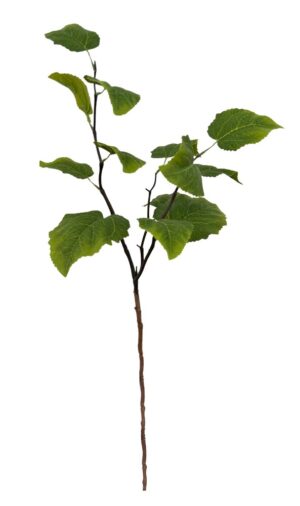 HASTE FOLHAS GIRASSOL X 3