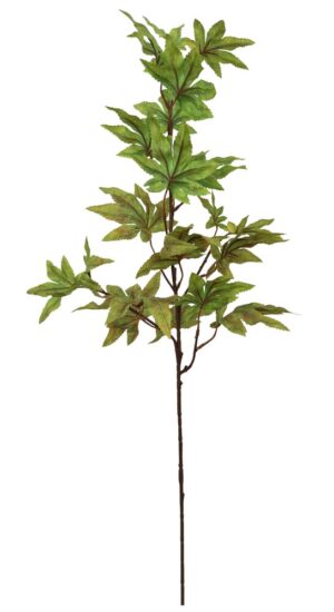 HASTE C/ FOLHAS DE ACER