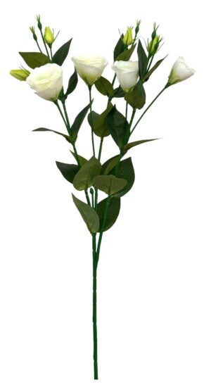 HASTE DE ESTOMAS X 4 FLS E BOTÕES