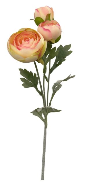 HASTE DE RANUNCULOS X 3