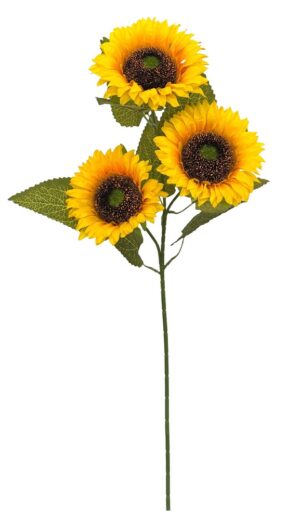 HASTE DE GIRASSOL X 3