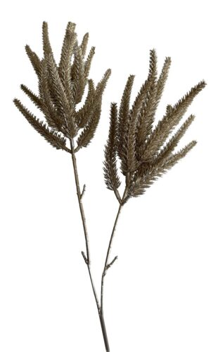 HASTE DE PAMPAS  C/ 80 CM