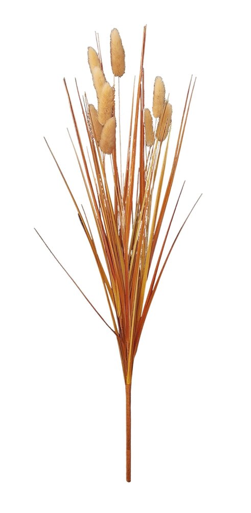 MOLHO DE "LAGURUS"