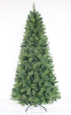 PINHEIRO VERDE