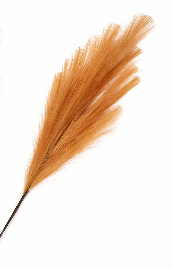 HASTE DE PLUMAS