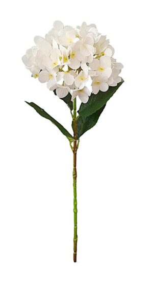 HASTE DE HORTÊNSIA