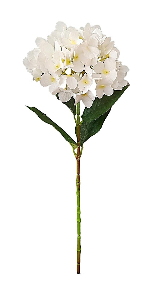 HASTE DE HORTÊNSIA