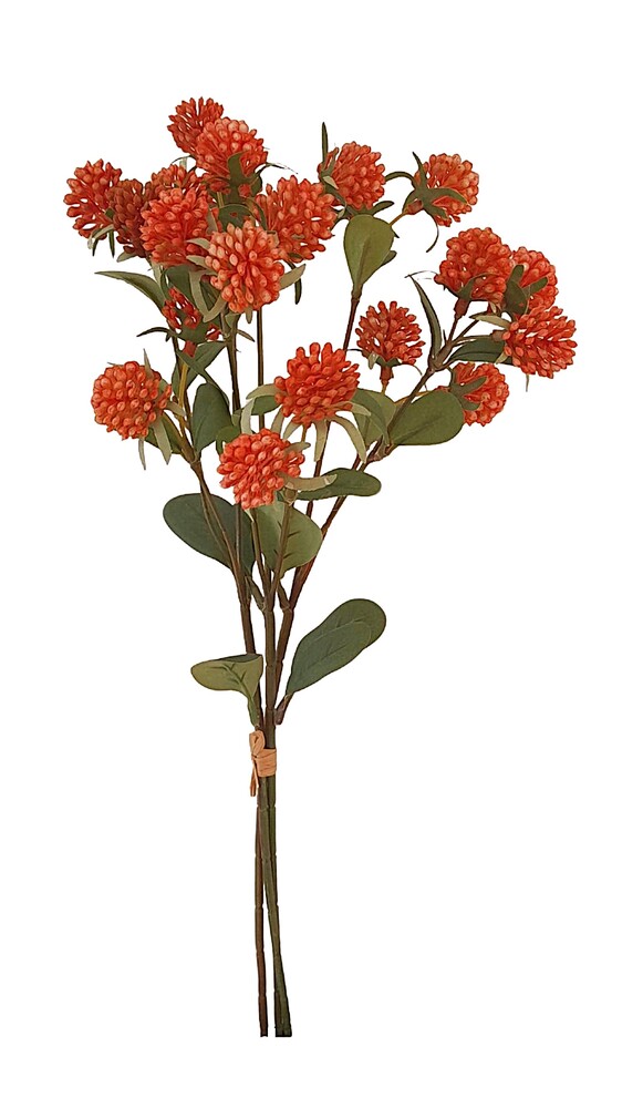 ATADO DE TRIFOLIUM X 3