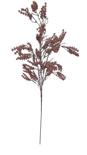 HASTE DE ASTILBE