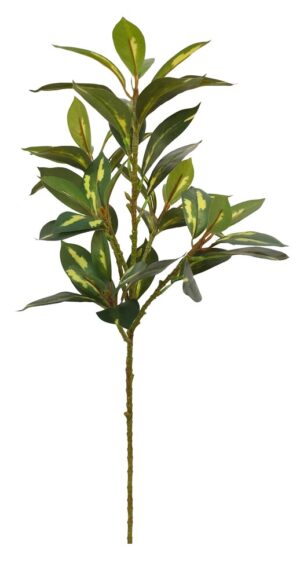 HASTE FOLHA DE LOURO-DO-JAPÃO C/ 80 CM