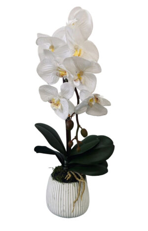 VASO DE ORQUIDEA X 1