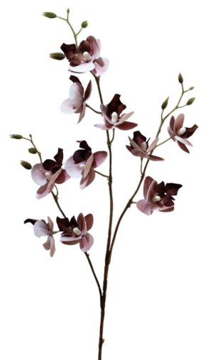 HASTE ORQUIDEA