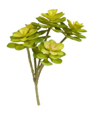HASTE SUCULENTA X 5 C/ 34 CM
