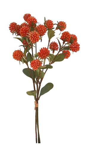 ATADO DE TRIFOLIUM X 3
