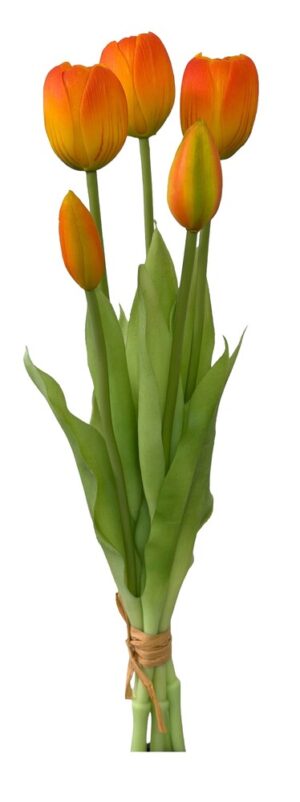 ATADO DE TULIPAS X 5