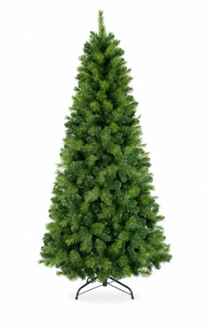 PINHEIRO VERDE